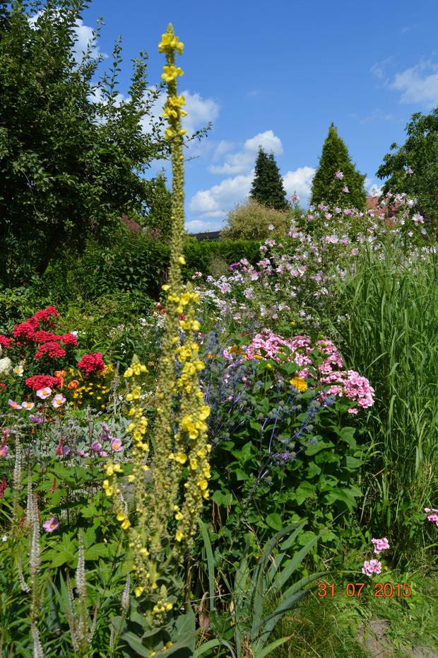 senność upalnego dnia