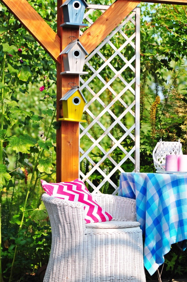 Skrzydlaci goście mile widziani