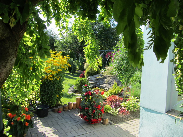 spojrzenie na oczko spod robinii akacjowej