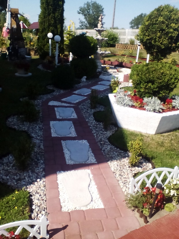 Stopy pośród bukszpanow 
