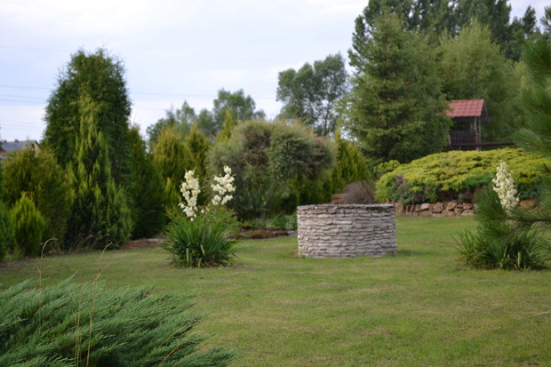 Studnia i taras przydomowy z piaskowca.