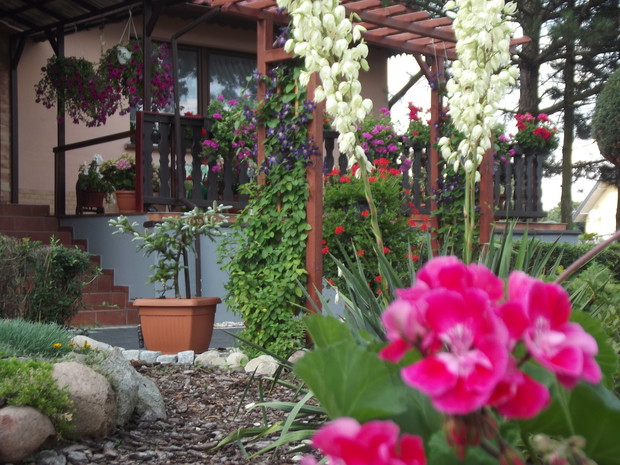 Surfinie i pelargonie są tłem dla wypoczywających na tarasie. 