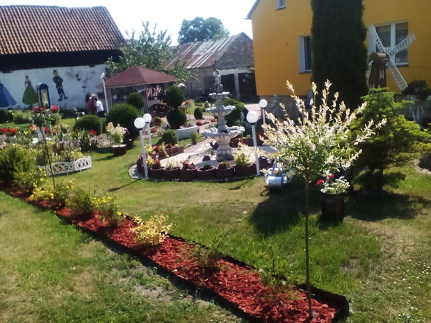 Tawuła i pacioreczniki wokół kory
