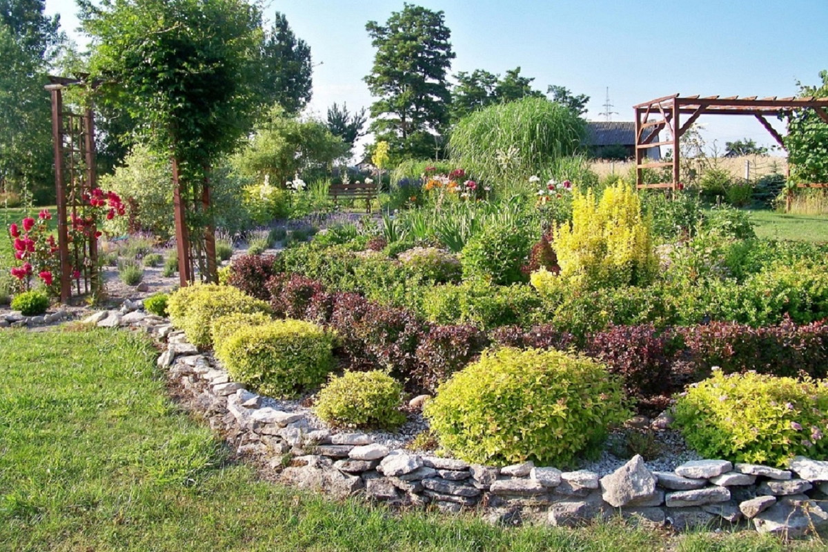 Tawuły, berberysy, lawenda, kwiaty oraz krzewy w ogrodzie.