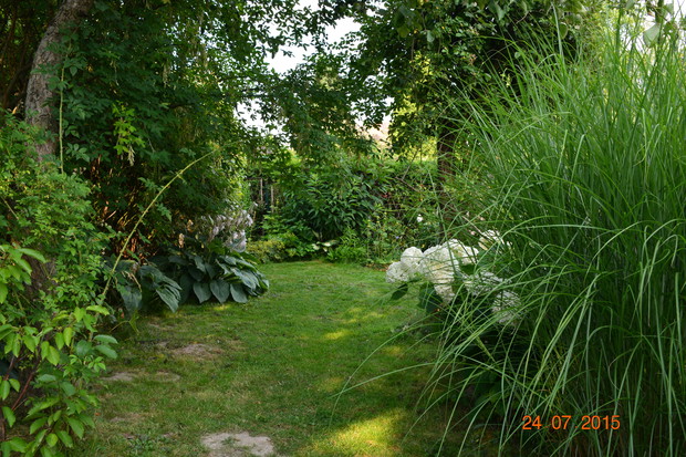 trawy kołyszą się w ciepłym wietrze późnego lata..