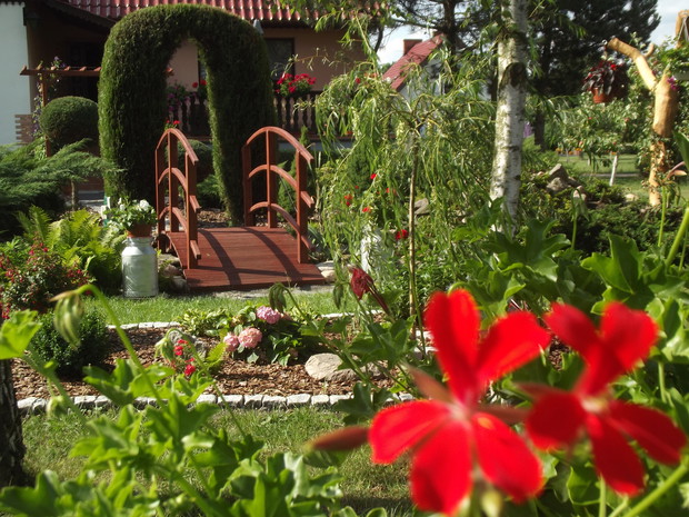 Tuje tworzące ,,łuk zakochanych". :)