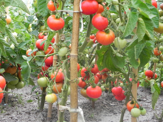 Tuż przed zerwaniem