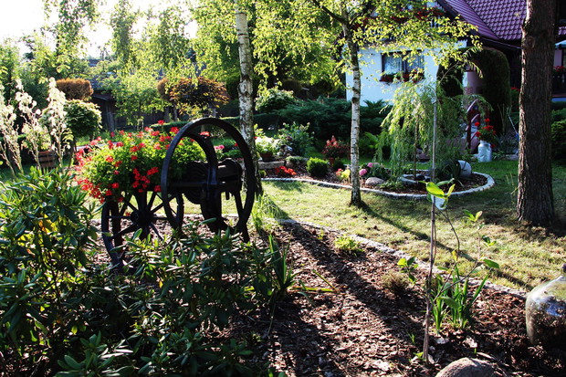 W blasku zachodzącego słońca.