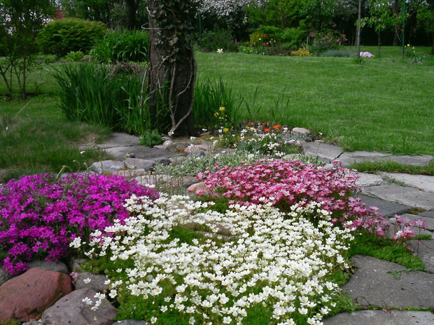 W ogrodzie znalazło się również miejsce dla roślin skalnych.