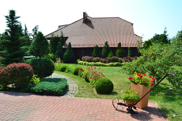 W tle pas berberysów i trzmieliny.