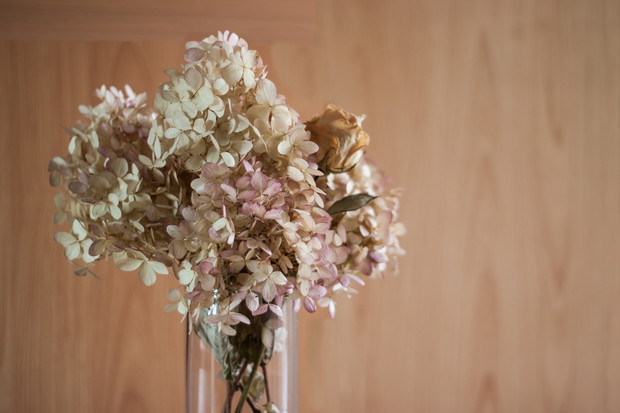 Wazon z ususzonymi hortensjami (zdj.: Fotolia.com)