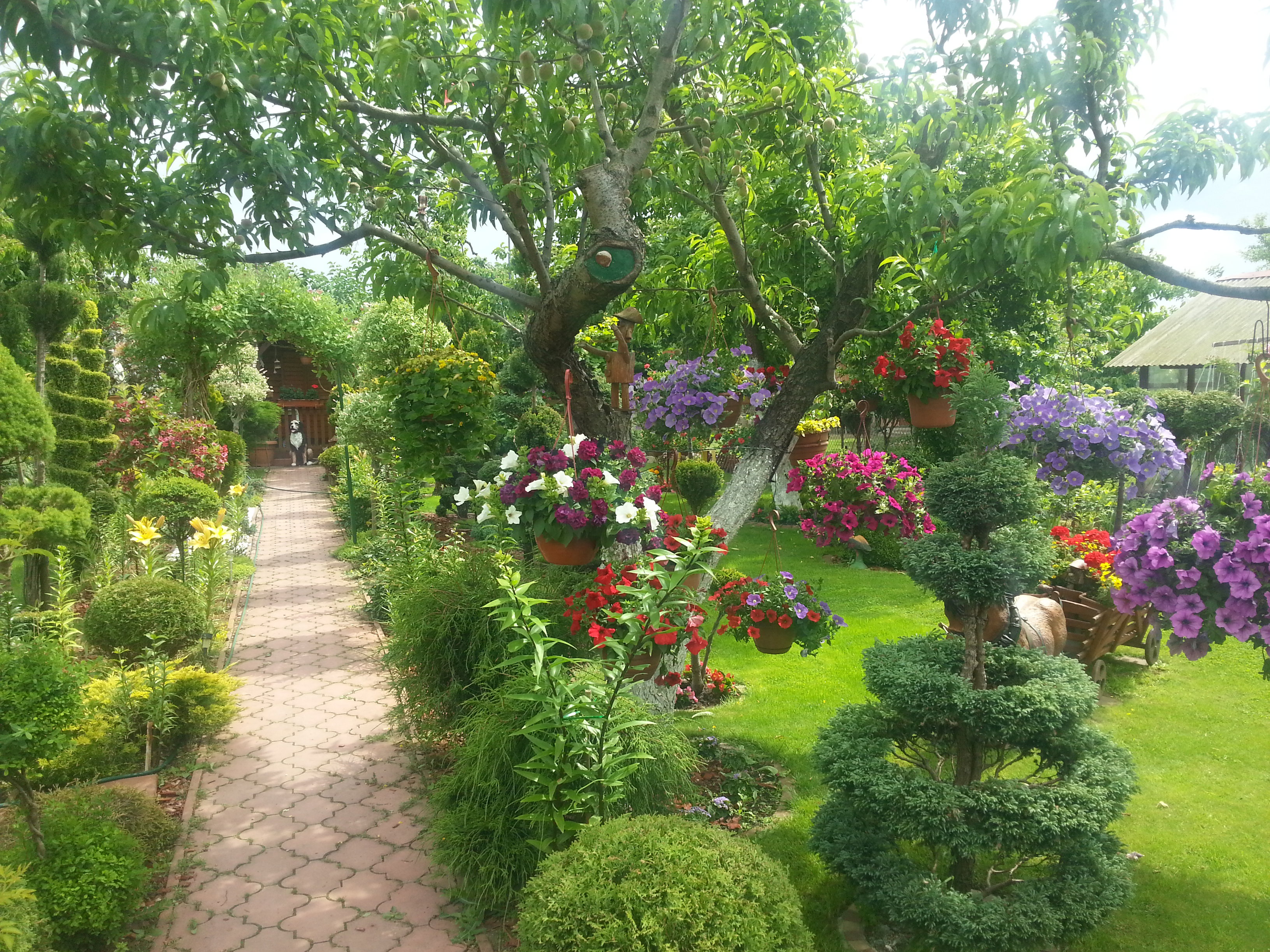 Wejście do naszego ogrodu