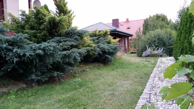 Wiata zza skarpy i bujnych iglaków