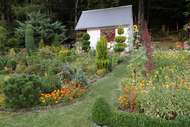 Widok na ogród w kolorach lata