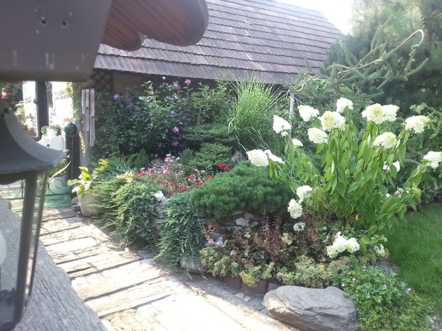 Widok z tarasu .....