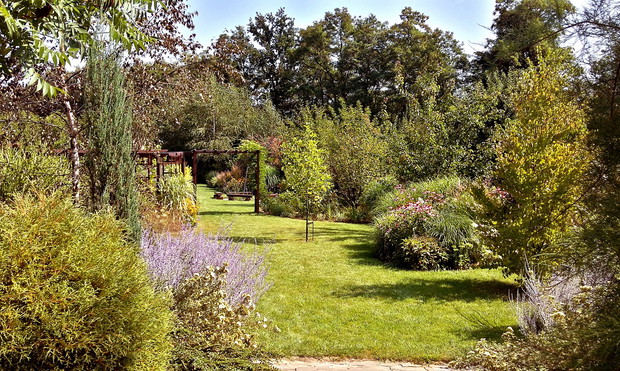 Widok ze schodów ogrodowych