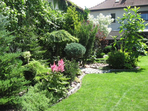 Wierzba, modrzew, tawułka, ostrokrzew, jałowiec oraz płożący floks