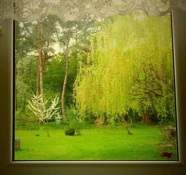 Wisna, wiosna ...ach to Ty ...kocham