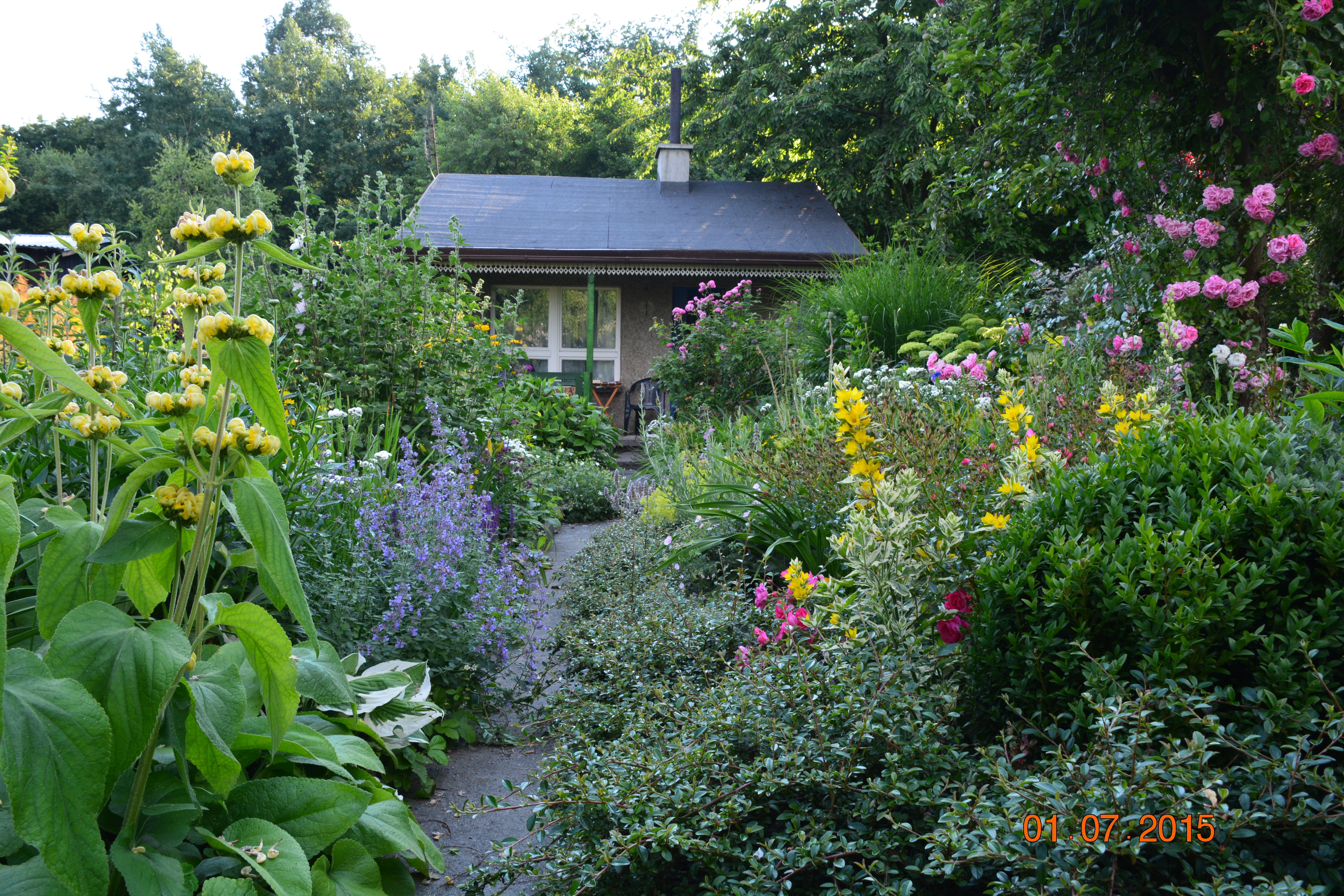 Zanurzona w kwiatach