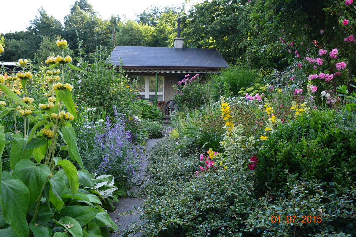 Zanurzona w kwiatach