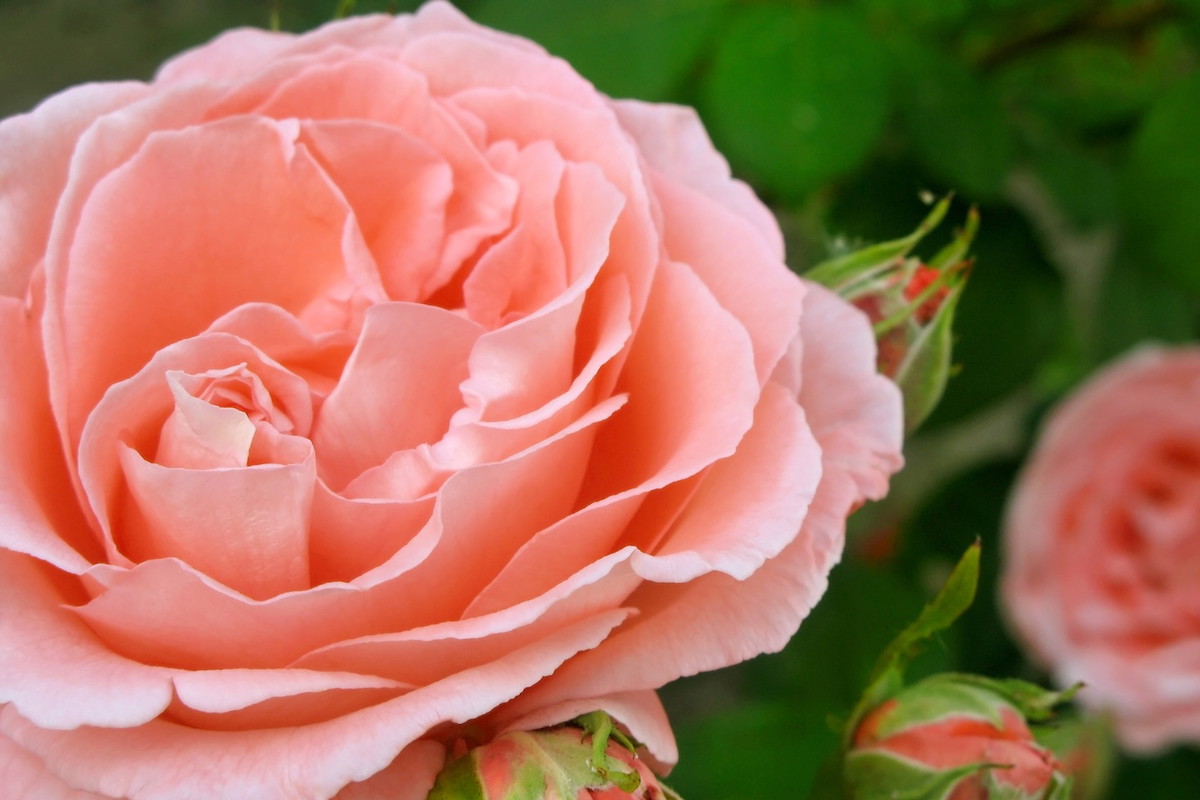 (zdj.: Fotolia.com)