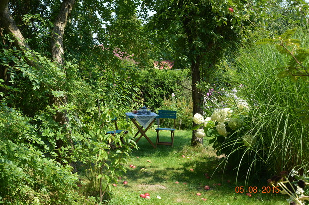 ..że słychać owady i ptaki