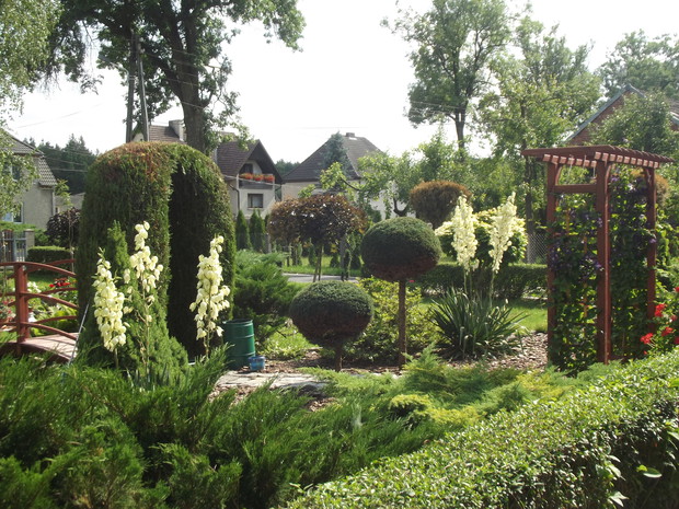 Zieleń to nasz ulubiony kolor!