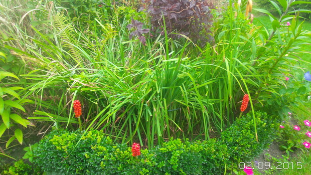 ----------------------