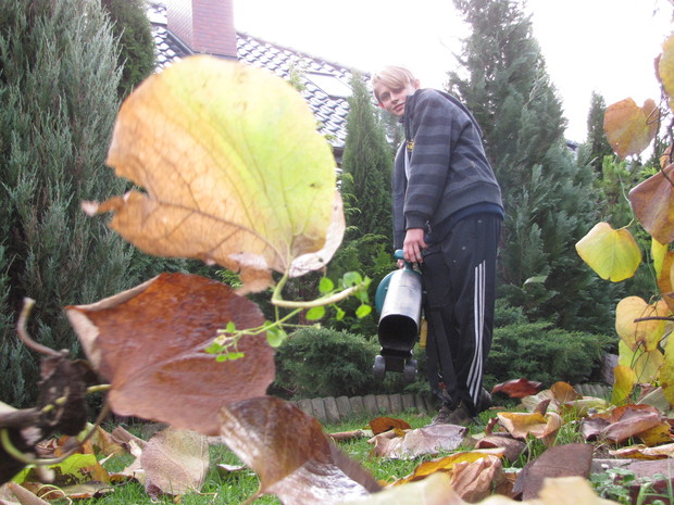 ...ale trzeba też pracować.