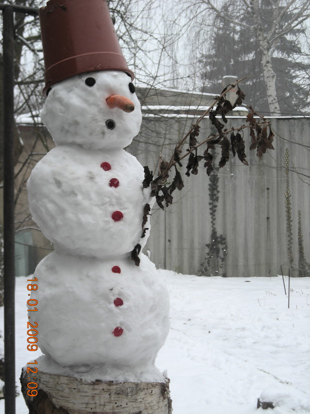 bałwany  lubią ogród