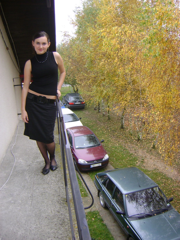 Białe brzozy jesienią w naszym ogrodzie.