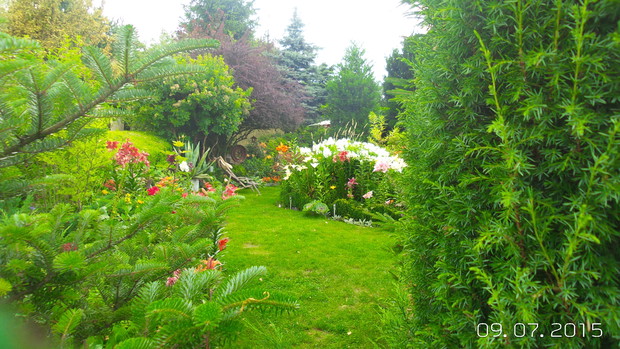 c.d kolorowego naszego królestwa.