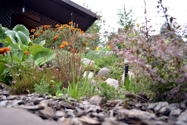 … chyba nikt nie ukrył się w korze? :/