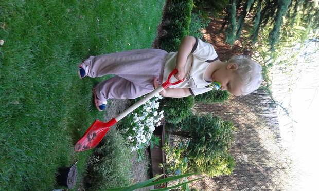 Coś trzeba przekopać... zwarty i gotowy...