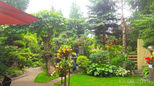 czesc saloniku - pod chmurka