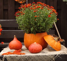 Dekoracje w kolorze pomarańczowym - dynia w roli głównej