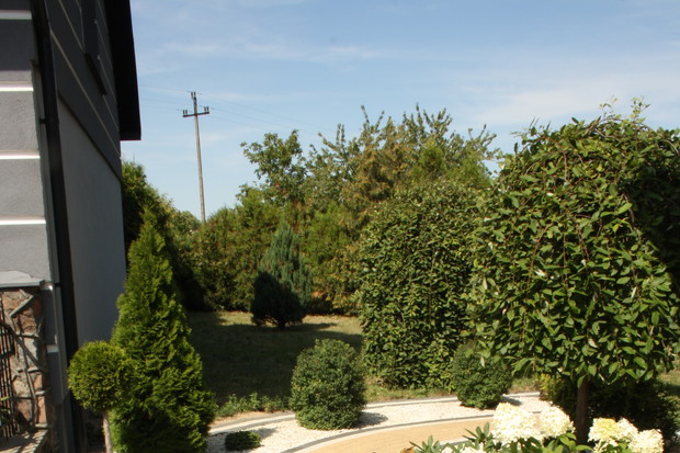 Fantastyczna ścieżka