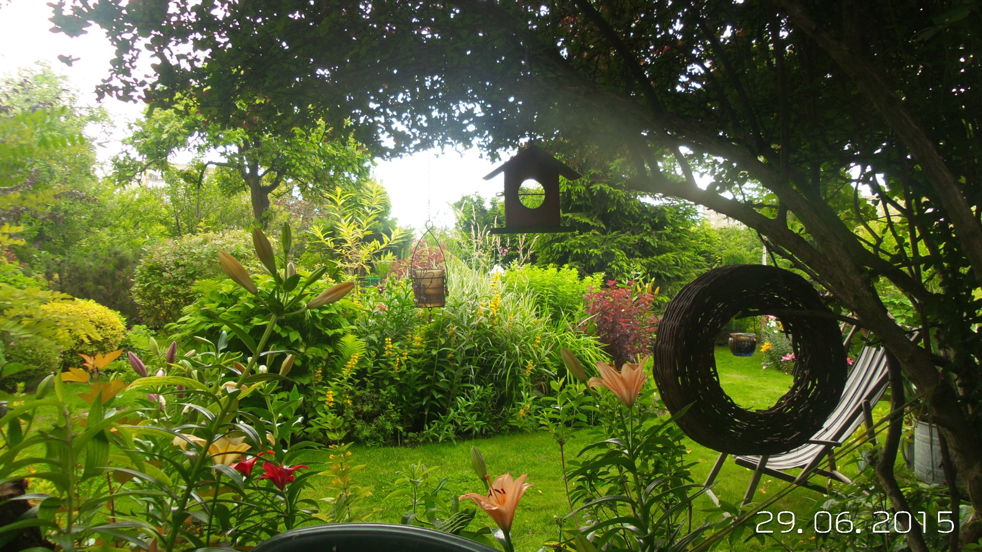 Fotki z działeczki w 2015 r.