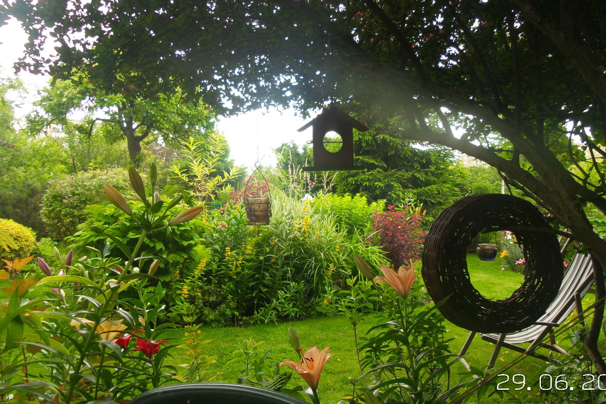 Fotki z działeczki w 2015 r.