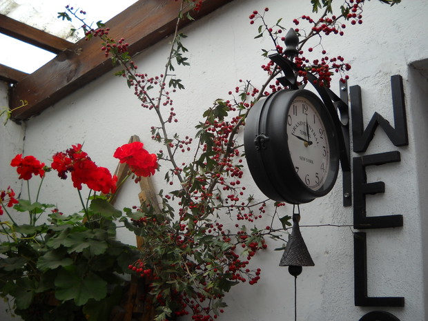 Gałązki Mącznika zdobią czerwonymi koralami.