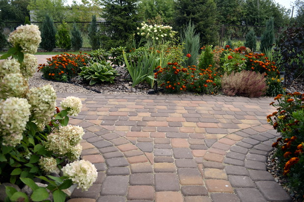 … gdzie są wszyscy? Za hortensją czy aksamitkami? :)