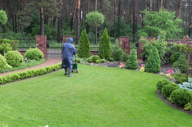 Gospodarz w trakcie nawożenia niczym szpieg z Krainy Deszczowców :)