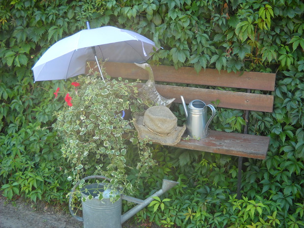 Kompozycja na ławce.