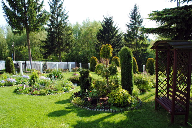 Krzewy i kwiaty przed domem