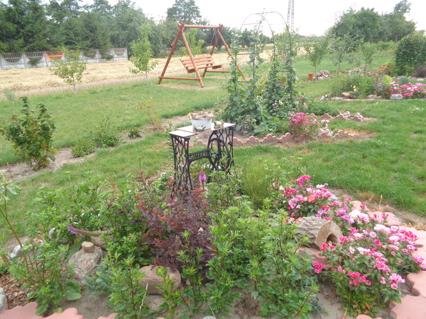 Kwiaty nadal bujnie kwitną .