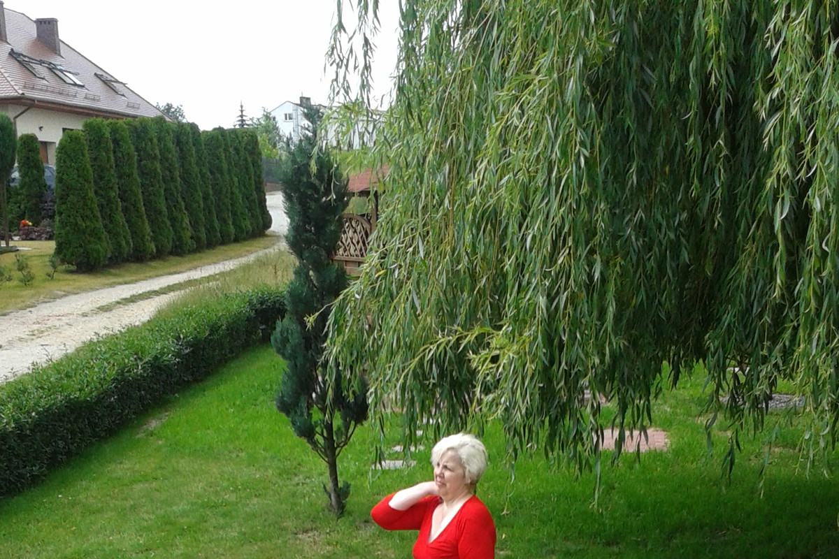 Kwiaty w ogrodzie