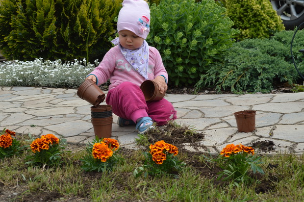 Mała pomocnica sadzi z mamą turki