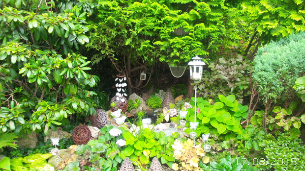 mini-mini oczko wodne - zrobiłam go z opony samochodowej