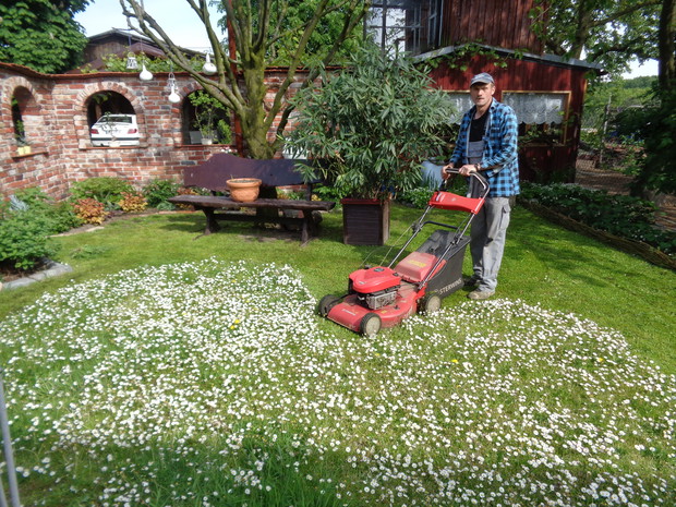 Mój małżonek tak kosił trawę aż wykosił dla mnie coś pięknego.....:)