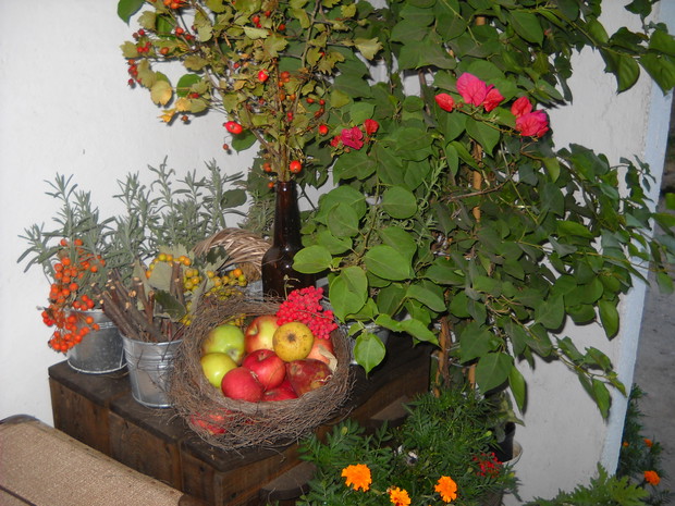 Na komodzie w altance.